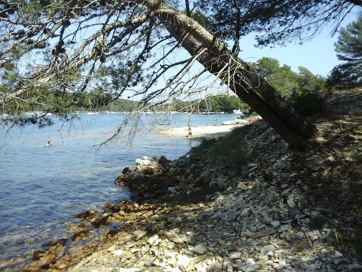 Maestral Διαμέρισμα Banjole
