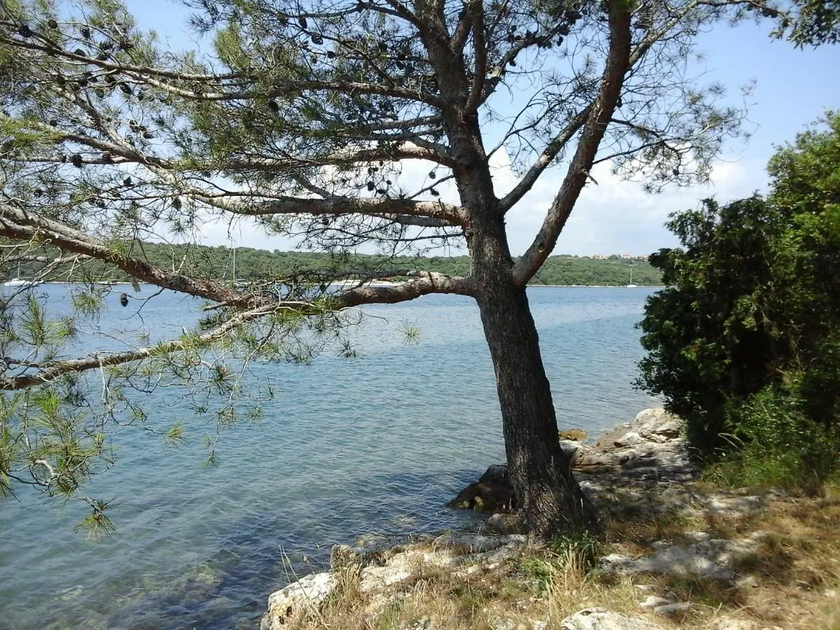 Maestral Διαμέρισμα Banjole Κροατία